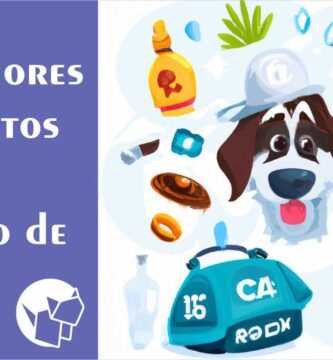 Descubre los mejores productos para cuidar a tu perro y asegúrate de brindarle el amor y atención que se merece.