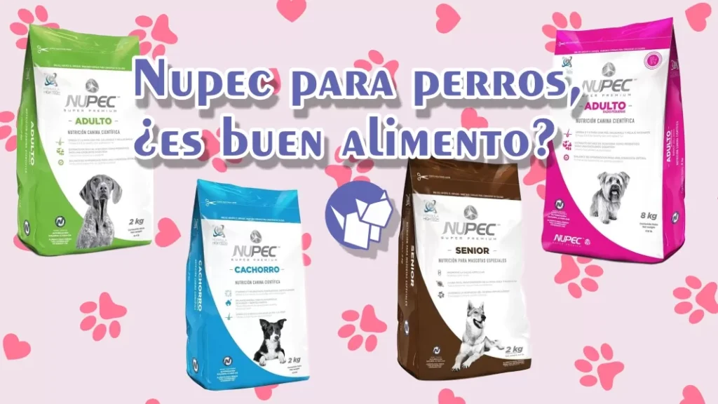 La comida Nupec para perros es una opción de alimentación cada vez más popular entre los dueños de mascotas en todo el mundo.