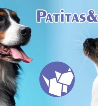 ¡Bienvenidos a nuestro blog Patitas & Pelos!