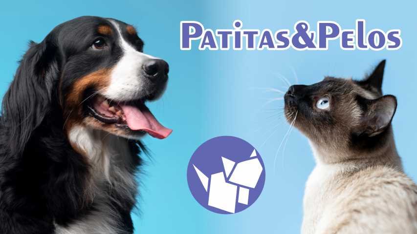 ¡Bienvenidos a nuestro blog Patitas & Pelos!