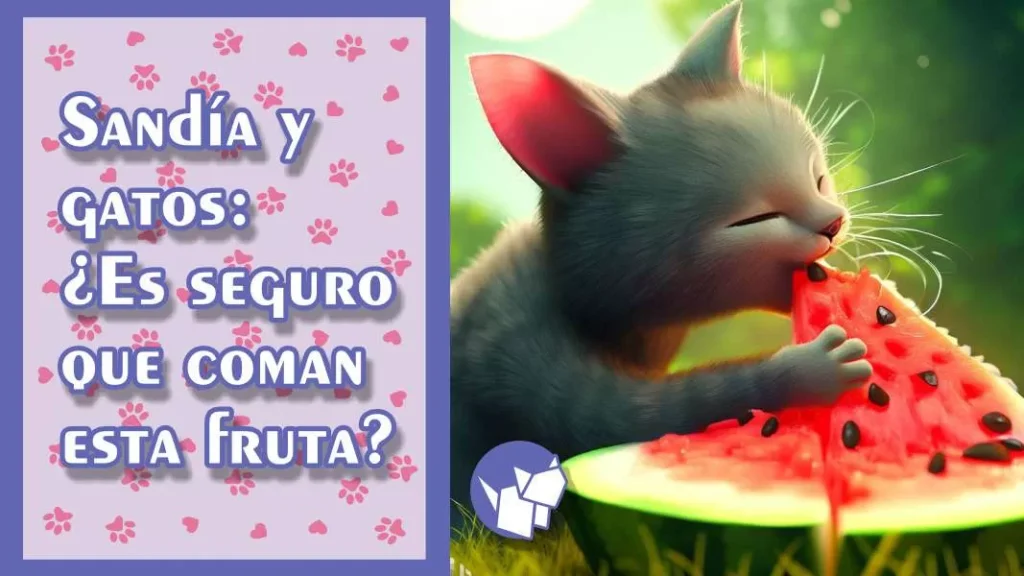 Sandía y gatos